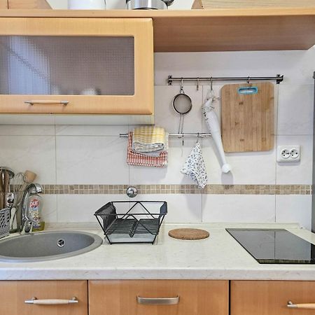 Apartments Maria Novigrad  ภายนอก รูปภาพ