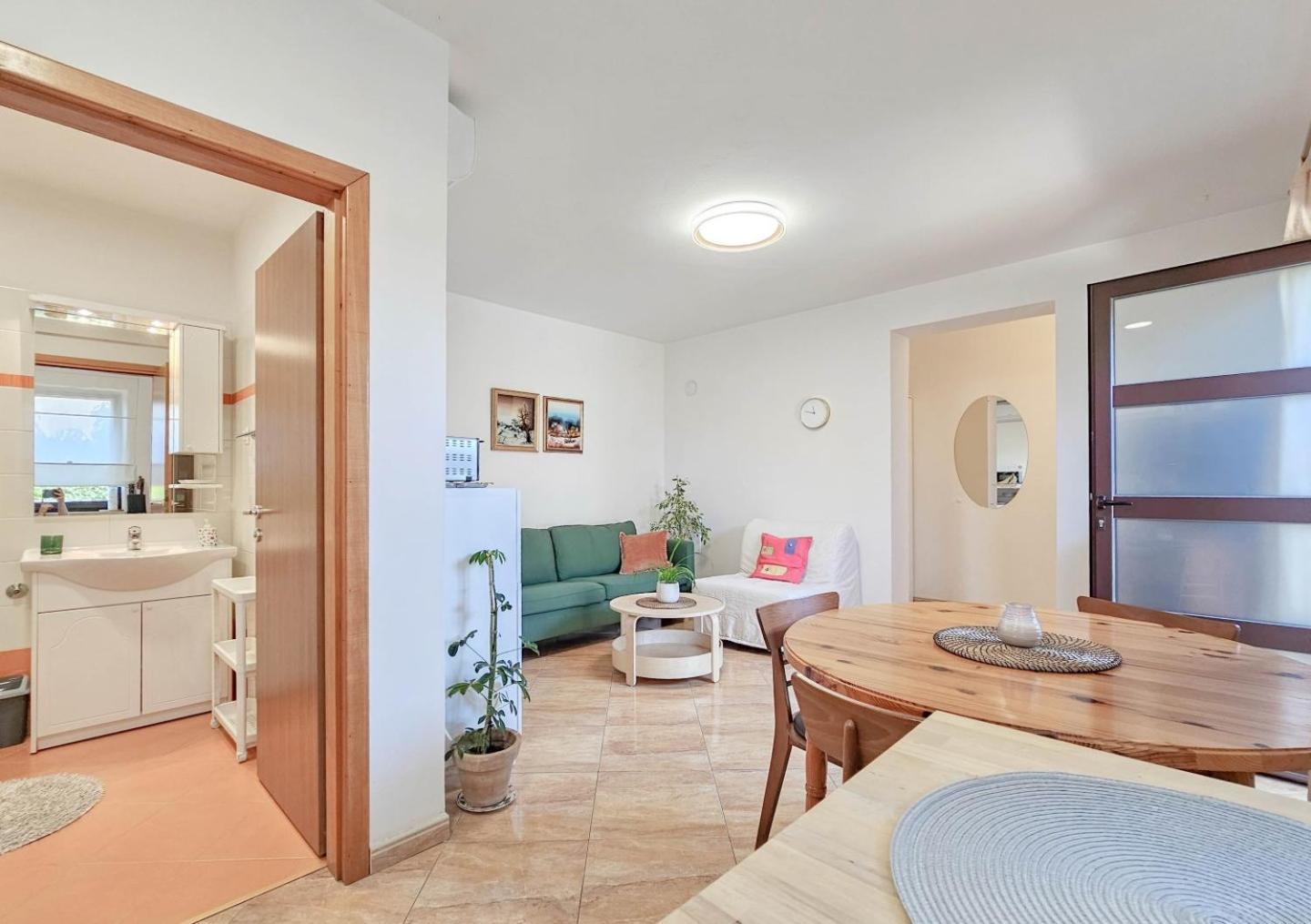 Apartments Maria Novigrad  ภายนอก รูปภาพ